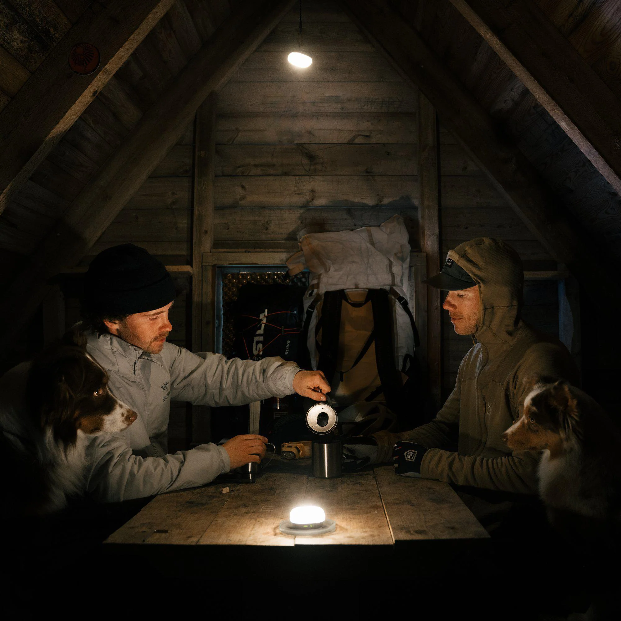 Miniatyrbild 7